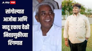 सांगोल्यात आजोबा आणि नातू एकाच वेळी रिंगणात, आजोबा नगराध्यक्ष पदासाठी तर नातू नगरसेवक पदासाठी मैदानात 