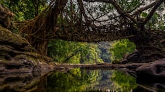 Meghalaya’s Mawlynnong: Asia’s Cleanest Village That Feels Like A Living Paradise