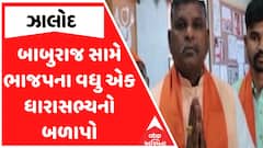 BJP MLA Allegation : બાબુરાજ સામે ભાજપના વધુ એક ધારાસભ્યનો બળાપો