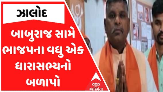 BJP MLA Allegation : બાબુરાજ સામે ભાજપના વધુ એક ધારાસભ્યનો બળાપો