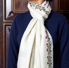 Trendy Shawl Looks : थंडीत ऊब अन् फॅशनही! हिवाळ्यात 'ही' शाल ठरतेय आकर्षणाचा केंद्रबिंदू!