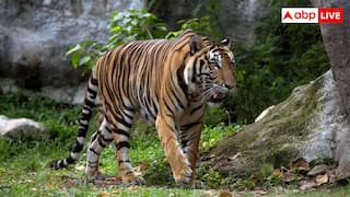 2026 की Top-50 ट्रैवल लिस्ट में शामिल हुआ भारत का ये राज्य, आप भी बना लें घूमने का प्लान