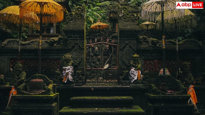 न्यू ईयर के आसपास होटल बुकिंग, फ्लाइट टिकट, बस रिजर्वेशन और हॉलीडे पैकेज पर आमतौर पर अच्छे ऑफर देखने को मिलते हैं. यह समय ऐसा होता है जब कीमतें उतार-चढ़ाव में रहती हैं और आपको कई सस्ते विकल्प भी दिखाई दे सकते हैं.