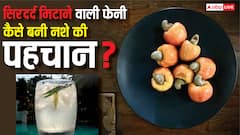 सिरदर्द मिटाने के लिए बनाई गई थी गोवा की 'फेनी', फिर कैसे बन गई नशेड़ियों की फेवरेट शराब?