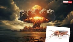 પરમાણુ બોમ્બથી હુમલો થાય અને આખી દુનિયા તબાહ થઈ જાય, છતા પણ જીવતો રહેશે આ એક માત્ર જીવ