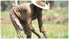 ఇతరుల భూమిలో పనిచేసే కౌలురైతులు కూడా పీఎం కిసాన్ నిధిని పొందవచ్చా?