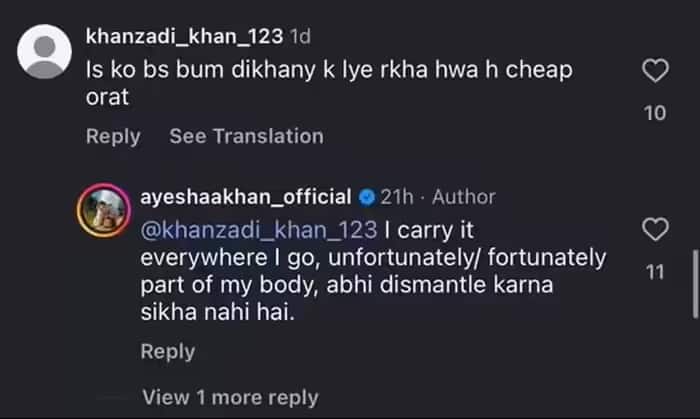 आयाशा खान के बॉडी पार्ट पर यूजर किया अश्लील कमेंट, तो भड़क गईं एक्ट्रेस, जमकर लगाई क्लास