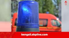 কোচবিহারের শীতলকুচিতে পথ দুর্ঘটনায় মৃত্যু BLO-র ! 'হয়তো কমিশনের ডেডলাইনের কথাই ভাবছিলেন..', দাবি তৃণমূলের