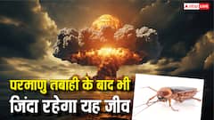परमाणु बम से हमला हो जाए और तबाह हो जाए पूरी दुनिया, फिर भी जिंदा रहेगा ये एकमात्र जीव