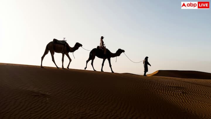 अगर आप कहीं घूमने की ख्वाहिश रखते हैं, तो यह वक्त सही होता है. अलग-अलग प्लेटफॉर्म चेक करके देखें. हो सकता है कोई डील आपकी योजना से बिल्कुल मेल खा जाए.