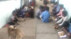 प्रधानमंत्री पोषण शक्ती निर्माण योजनेची ऐशीतैशी; आदिवासी भागातील विद्यार्थ्यांच्या जीवाशी खेळ, बुलढाण्यातील धक्कादायक प्रकार