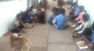 Buldhana News : प्रधानमंत्री पोषण शक्ती निर्माण योजनेची ऐशीतैशी; आदिवासी भागातील विद्यार्थ्यांच्या जीवाशी खेळ, बुलढाण्यातील धक्कादायक प्रकार