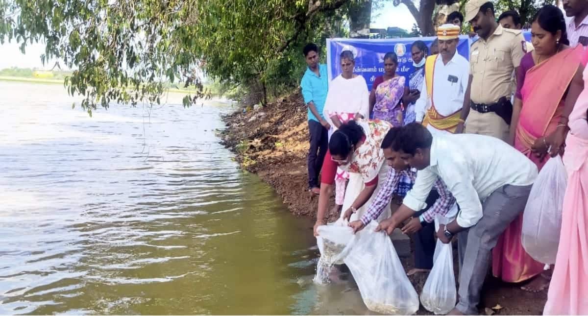 சிவகங்கை: கிராமங்களில் மீன் உற்பத்தி பெருகும்.. ஆட்சியர் பொற்கொடி தொடங்கி வைத்த முக்கிய திட்டம்!