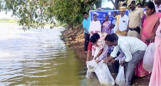 சிவகங்கை: கிராமங்களில் மீன் உற்பத்தி பெருகும்.. ஆட்சியர் பொற்கொடி தொடங்கி வைத்த முக்கிய திட்டம்!