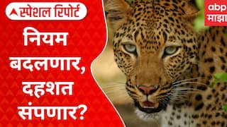 Leopard News : नियम बदलणार, दहशत संपणार? चांदा ते बांदा बिबट्यांचा धुमाकूळ सुरूच Special Report