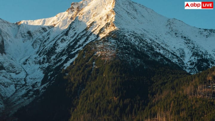 इसके अलावा, कई बार ऑफ-पीक टाइम या सप्ताह के बीच में बुकिंग करने से कीमतें कम मिल जाती हैं. अगर आपकी डेट्स फ्लेक्सिबल हैं, तो आपको और बेहतर रेट का फायदा मिल सकता है.