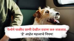 Pet Friendly Travel :  रेल्वेने पाळीव प्राण्यांचा प्रवास आता सोपा, जाणून घ्या महत्वाचे नियम!