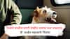 Pet Friendly Travel :  रेल्वेने पाळीव प्राण्यांचा प्रवास आता सोपा, जाणून घ्या महत्वाचे नियम!