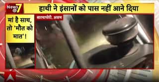 Assam Elephant Rescue, Mohan Bhagwat’s Big Statement And Major National Incidents Spark Debate