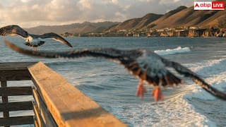 New Year 2026: नए साल में घूमने की है ख्वाहिश तो नोट कर लें ये टिप्स, इस वक्त मिलते हैं बेस्ट ऑफर और डिस्काउंट