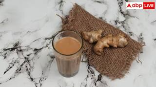Ginger Tea: શું આદુવાળી ચા પીવાથી ખરેખર વજન ઘટે ? જાણો આ દાવાને લઈ શું કહે છે રિસર્ચ ?