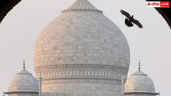 अंत में बात बस इतनी है कि नए साल का समय घूमने का अच्छा मौका देता है. बिना किसी ब्रांड का नाम बताए सिर्फ इतना कहा जा सकता है. इस सीजन में ऑफर मौजूद रहते हैं, और अगर आपका मन यात्रा पर जाने का है, तो एक बार जरूर चेक करें. आपको एक बढ़िया डील मिल सकती है.