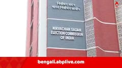 'কেন ঠিকমতো কাজ করতে পারেননি ?', বেলেঘাটার ৭ BLO-কে শো-কজ কমিশনের