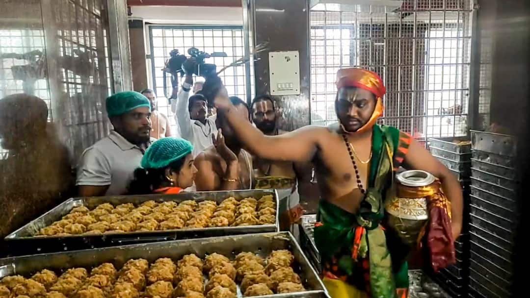 Tirupati Laddu Scam: Over 20 Crore Laddus Made Using Spurious Ghee Between 2019–24, Says TTD