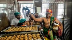 Tirupati Laddu Scam: Over 20 Crore Laddus Made Using Spurious Ghee Between 2019–24, Says TTD