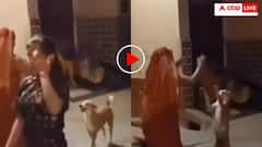 कांटा लगा पर कूद-कूदकर नाचा कुत्ता, वीडियो देखा तो हंसते-हंसते हो जाएगा बुरा हाल