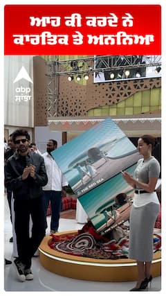 ਆਹ ਕੀ ਕਰਦੇ ਨੇ ਕਾਰਤਿਕ ਤੇ ਅਨਨਿਆ