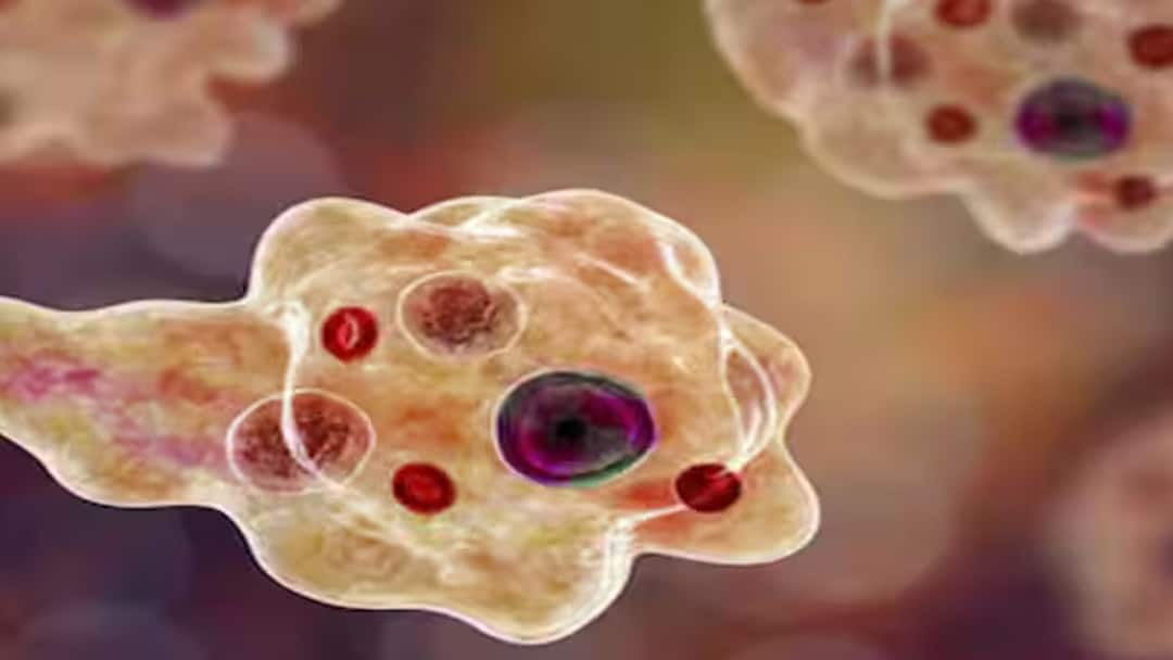 கேரளாவில் அதிர்ச்சி! அமீபா மூளைக்காய்ச்சல்: 40 பேர் பலி, திருவனந்தபுரத்தில் 8 பேர் மரணம் - காரணம் என்ன?