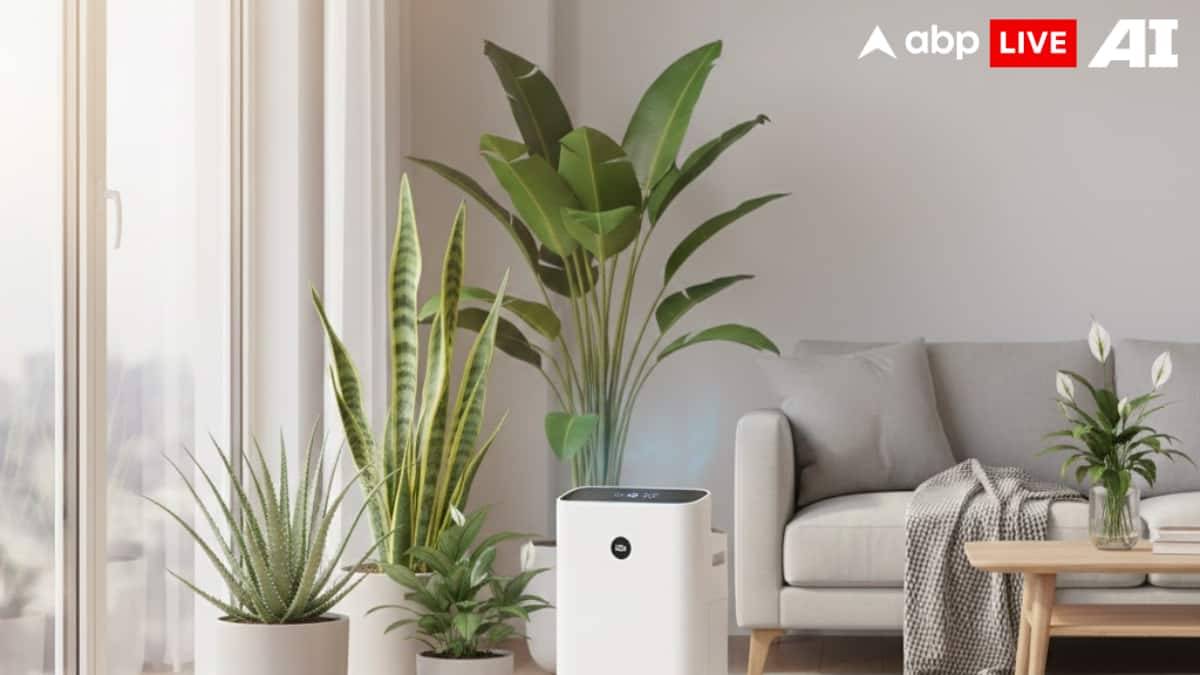 Breathing City Air? 8 Everyday Detox Rituals To Protect Your Skin, Lungs, And Immunity