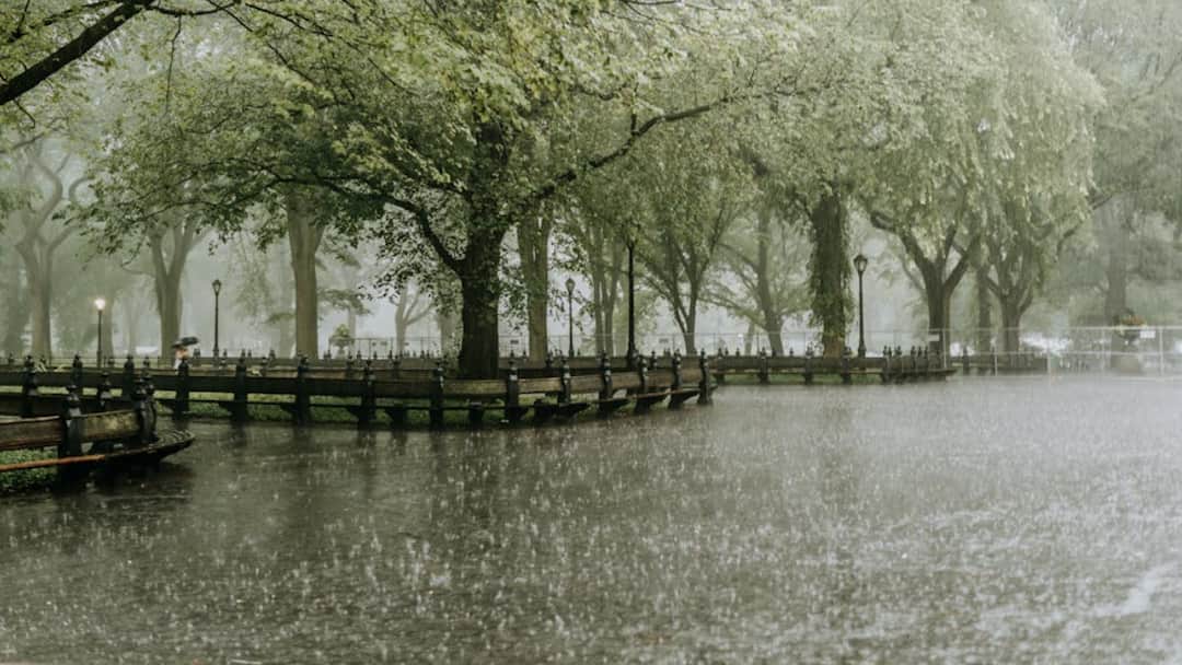 Tamil Nadu Weather: IMD Alerts 17 Districts, Heavy Rain Likely Till Nov 24