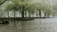 Tamil Nadu Weather: IMD Alerts 17 Districts, Heavy Rain Likely Till Nov 24