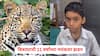 Palghar Leopard Attack: दबा धरून बसलेल्या बिबट्याची 11 वर्षांच्या मयंकवर झडप, दप्तर बनलं 'लाइफसेव्हर'; पालघरमधील घटना
