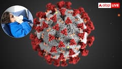 क्या है सबक्लेड के और इसे क्यों माना जा रहा खतरनाक फ्लू स्ट्रेन, जानें टेंशन में क्यों वैज्ञानिक?