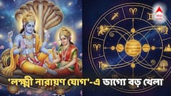 'লক্ষ্মী নারায়ণ যোগ'-এ ভাগ্যে বড় খেলা! মালামাল ৩ রাশিতে, ব্যাঙ্ক ব্যালেন্স বাড়বে হু হু করে