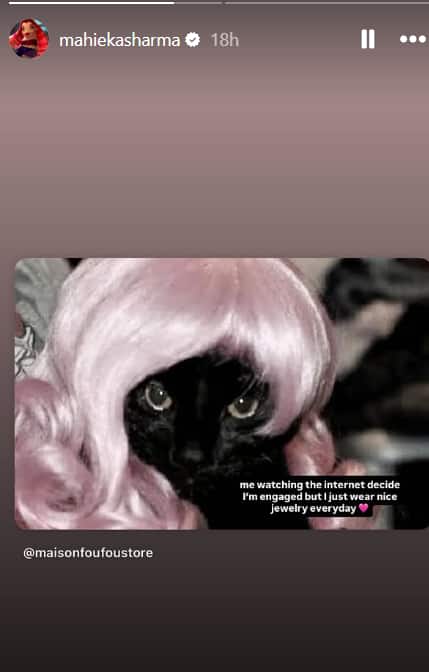 मैं हर रोज...', हार्दिक पांड्या संग सगाई के रूमर्स पर माहिका शर्मा ने तोड़ी चुप्पी, प्रेगनेंसी को लेकर कह दी ये बात