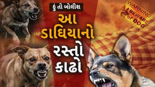 Hun To Bolish : હું તો બોલીશ : આ ડાઘિયાનો રસ્તો કાઢો