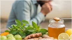 Winter Immunity Boosters : చలికాలంలో జలుబు, ఫ్లూ రాకుండా ఉండాలంటే.. ఈ 7 ఇమ్యూనిటీ బూస్టర్స్ ట్రై చేయండి