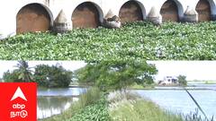 நாகையில் மீண்டும் கொட்டித் தீர்க்கும் கனமழை: வடிகால் ஆற்றில் அடைப்பு; 2000 ஏக்கர் நெற்பயிர்கள் வெள்ளத்தில் மூழ்கி அழுகும் அபாயம்!