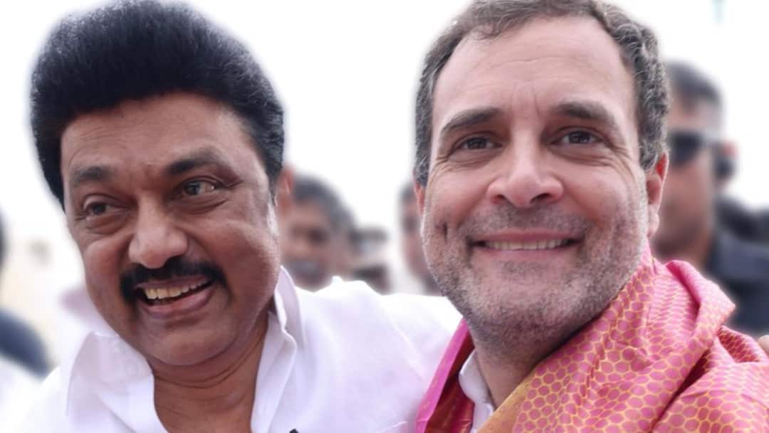Congress Reasserts DMK Alliance For 2026, Forms Panel To Begin Seat-Sharing Talks