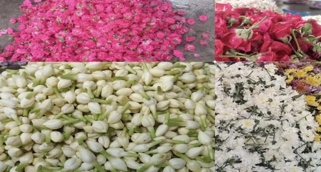 உசிலம்பட்டி மலர் சந்தையில் பூக்களின் விலை உச்சம்! கார்த்திகை முகூர்த்தம்: மல்லிகை கிலோ 4500-க்கு விற்பனை!