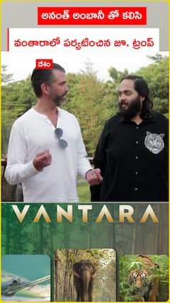 అనంత్ అంబానీ తో కలిసి వంతారాలో పర్యటించిన జూ. ట్రంప్