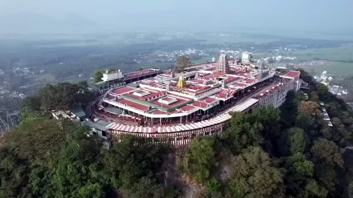 பழனி முருகன் கோயில் பஞ்சாமிர்தம் சாதனை: ஒரே நாளில் 2.65 லட்சம் ஜார்கள் விற்பனை!