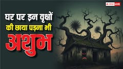 घर पर इन वृक्षों की छाया पड़ना होता है अपशकुन, शास्त्र भी देते हैं चेतावनी