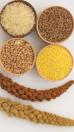 Corn VS Millet: मका की बाजरी? हिवाळ्यात कोणतं धान्य शरीरासाठी फायदेशीर?
