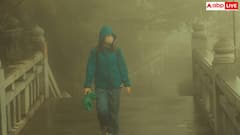 Walk Benefits: मॉर्निंग वॉक या इवनिंग वॉक, वजन घटाने के लिए दोनों में से कौन ज्यादा बेहतर?