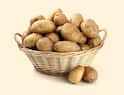 Healthy Potato for Diabetics : डिप्लॉइड बियांद्वारे मधुमेहींसाठी आरोगदायी बटाटा आता बाजारात उपलब्ध!
